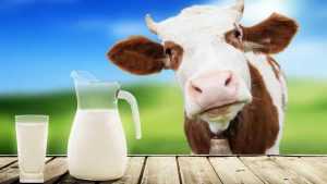 vala lapte agricultura