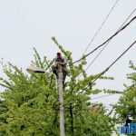 Galerie foto: despre un porumbel și despre oameni 2 salvare porumbel 02