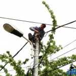 Galerie foto: despre un porumbel și despre oameni 4 salvare porumbel 04