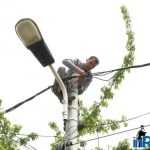 Galerie foto: despre un porumbel și despre oameni 5 salvare porumbel 05