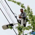 Galerie foto: despre un porumbel și despre oameni 6 salvare porumbel 06