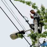 Galerie foto: despre un porumbel și despre oameni 7 salvare porumbel 07