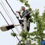 Galerie foto: despre un porumbel și despre oameni 10 salvare porumbel 10