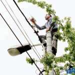 Galerie foto: despre un porumbel și despre oameni 11 salvare porumbel 11