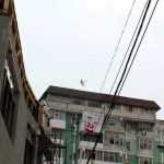 Galerie foto: despre un porumbel și despre oameni 16 salvare porumbel 16