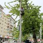 Galerie foto: despre un porumbel și despre oameni 21 salvare porumbel 21