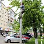 Galerie foto: despre un porumbel și despre oameni 22 salvare porumbel 22