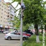 Galerie foto: despre un porumbel și despre oameni 23 salvare porumbel 23