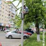 Galerie foto: despre un porumbel și despre oameni 24 salvare porumbel 24