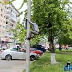 Galerie foto: despre un porumbel și despre oameni 25 salvare porumbel 25