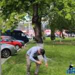 Galerie foto: despre un porumbel și despre oameni 26 salvare porumbel 26