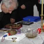 Lansare sediu PNL candidati CL 17