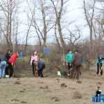 Plantările de arbori: necesitate și mod de educație 12 plantari 10