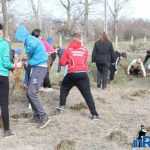 Plantările de arbori: necesitate și mod de educație 13 plantari 11