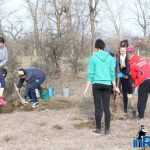 Plantările de arbori: necesitate și mod de educație 14 plantari 12