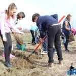 Plantările de arbori: necesitate și mod de educație 17 plantari 15