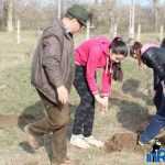 Plantările de arbori: necesitate și mod de educație 19 plantari 17
