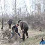 Plantările de arbori: necesitate și mod de educație 4 plantari 2