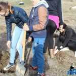 Plantările de arbori: necesitate și mod de educație 23 plantari 21