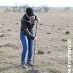 Plantările de arbori: necesitate și mod de educație 24 plantari 22