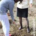 Plantările de arbori: necesitate și mod de educație 26 plantari 24