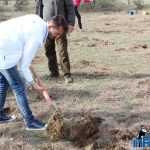 Plantările de arbori: necesitate și mod de educație 28 plantari 26