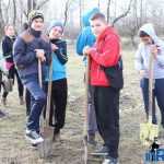 Plantările de arbori: necesitate și mod de educație 9 plantari 7