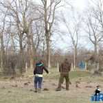 Plantările de arbori: necesitate și mod de educație 10 plantari 8