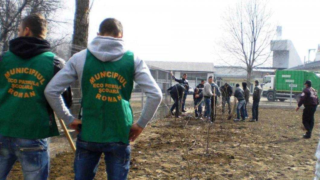 Raport de activitate la final de mandat (II) 3 19 Ecopatrula scolara