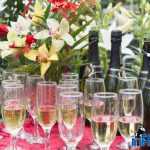 Musatinii bilant 0045