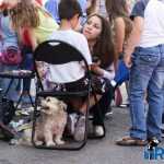 Bucurie in miscare 0092