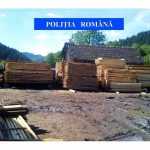 politia lemn confiscat 2