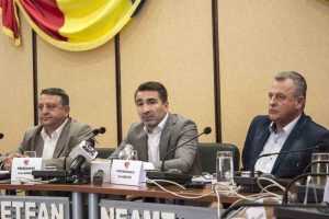 Laurentiu Dulama Ionel Arsene Ion Asaftei