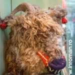 "Odoare dintr-un sipet vechi" 14 Odoare dintr un sipet vechi 14