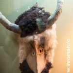 "Odoare dintr-un sipet vechi" 22 Odoare dintr un sipet vechi 32