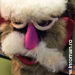 "Odoare dintr-un sipet vechi" 10 Odoare dintr un sipet vechi 9