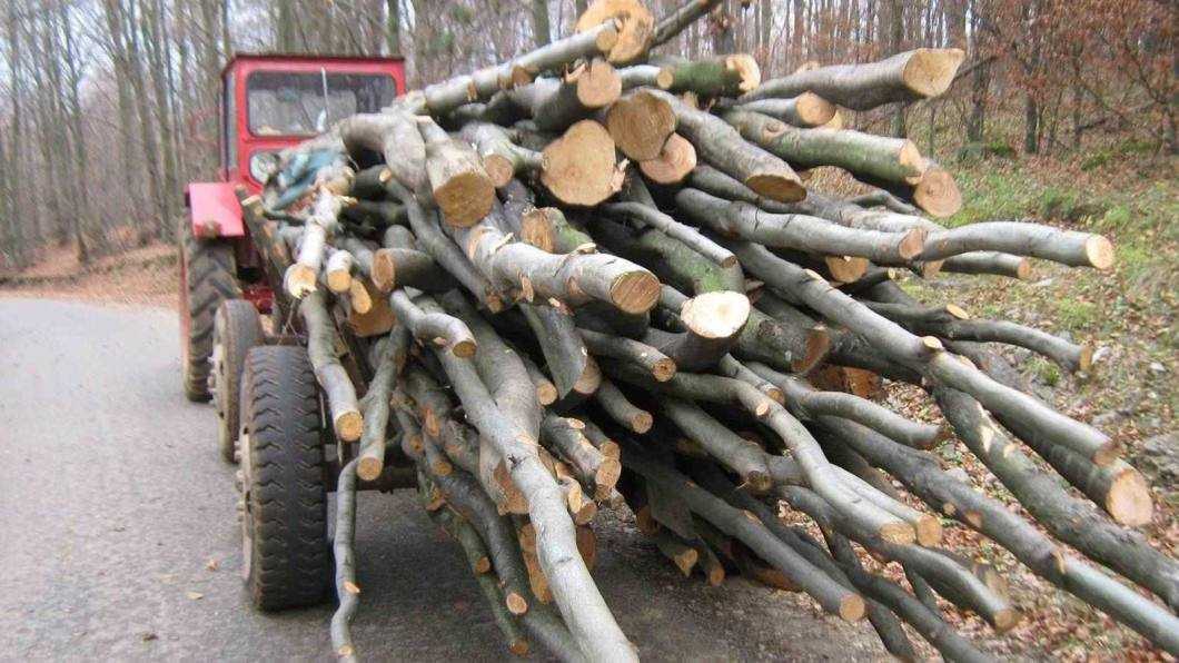 tractor remorca lemne