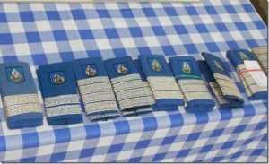 pompieri avansati 01