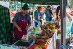 Targul de Gustar 2016 43