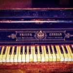 Miclauseni Calatorie la 1900 12