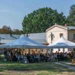 Miclauseni Calatorie la 1900 38