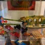 Miclauseni Calatorie la 1900 62