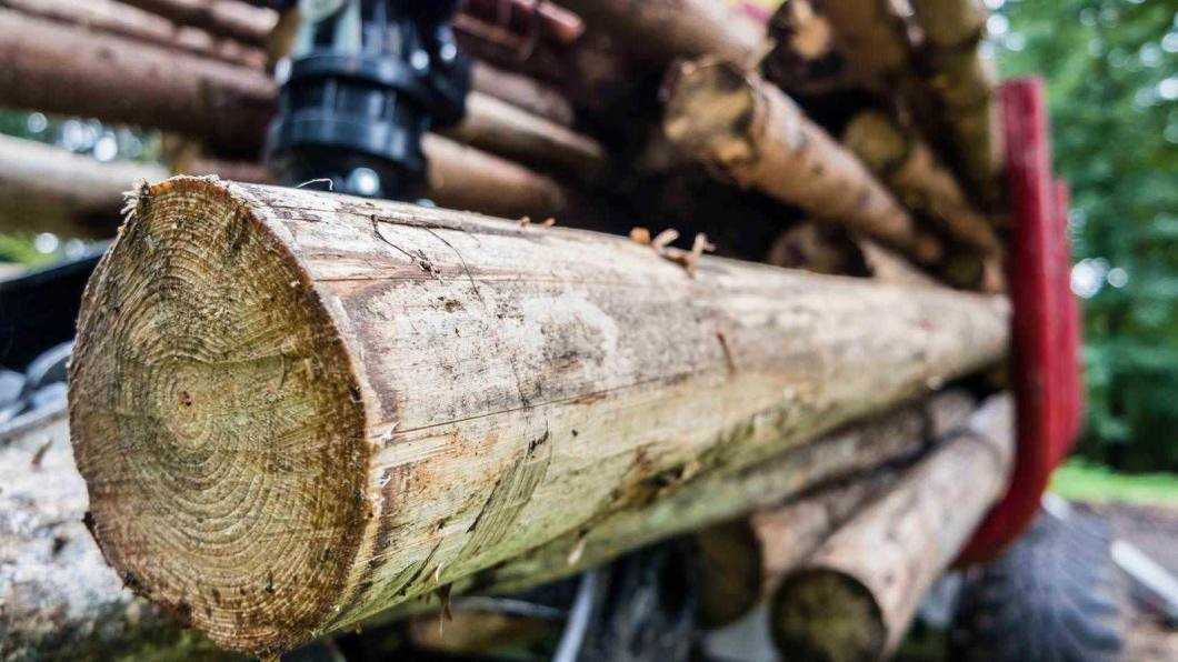 lemn defrisari
