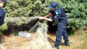 plase de pescuit confiscate