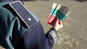 campanie politia romana