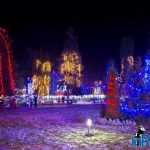 inroman.ro Roman centru noaptea ornamente sarbatori de iarna Craciun 10