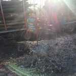 defrisari camion fara numere 2