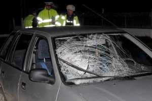 accident sofracesti trifesti