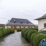 Catedrala Episcopala Roman 28