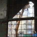 demolare centrala ciuperca 20